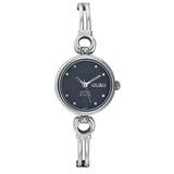 Titan Raga Ladies 311sm04