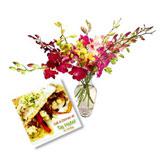 Orchid Bonanza 