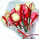Pink and white roses-pack of 12