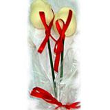 Pure white rose-pack of 2