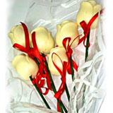 Pure white rose-pack of 6