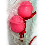 Strawberry pink roses-pack of 2