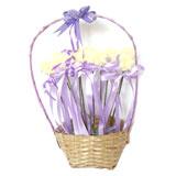 Send Lovely Lilies to India