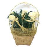 Send White Roses to India