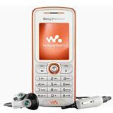 Send Sony Ericsson W200i to all destinations in India