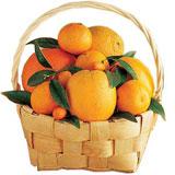 Send Jumbo Juicy Basket to India