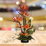 Send Birds of Paradise to Mumbai