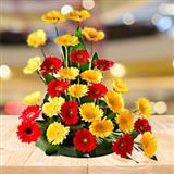 Send Bright & Beautiful to Bangalore