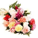 Send Colourful Carnations to Bangalore