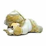 Send Sleepy Teddy to India Send Sleepy Teddy to India