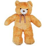 Smiling Teddy