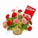 Carnations With Card