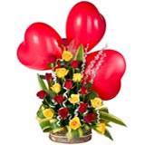 Send Fly In Love to India Send Fly In Love to India