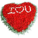 Send 501 Wishes to India Send 501 Wishes to India