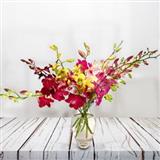 Mixed  Orchids (Midnight)