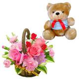 Beary Surprise (Midnight)