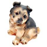 Cute Doggy