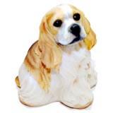 Sweet Puppy