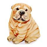 Lovely Puppy