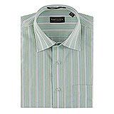 Van Heusen Casual Striped Shirt