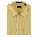Van Heusen Formal Striped Shirt
