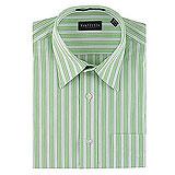 Van Heusen Bright Striped Shirt