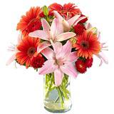 Send Ravishing Flowers to Mumbai