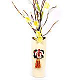 Send Simple and Delicate to all destinations in India