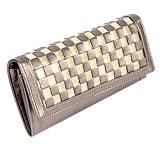 Fancy and Elegant Purse