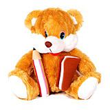 Send Studious Teddy  to Bangalore