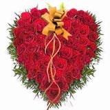 Rose Garden-Hot Deal