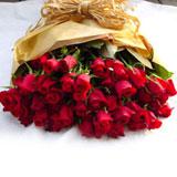 Precious Love -Hot Deal