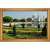 Send Amidst the green to all destinations in India