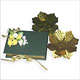 The Green Choco Book
