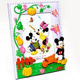 Mickey Frame