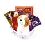 Cute Choco Hamper