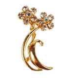 Brooch Beauty