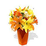 Send Beauty in a Vase to Mumbai