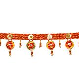 Designer Bhandhanwar