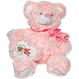 Send Soft Pink Teddy Bear to India