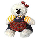 Send Colorful Teddy Bear to India