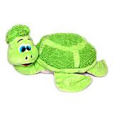 Send Green Tortoise to all destinations in India