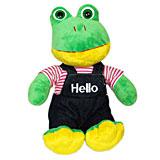 Send Soft Frog to all destinations in India