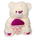 Send Softy Teddy to India