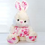 Send Delicate Bunny to India