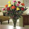 Magnificent Mixed Dozen Roses 