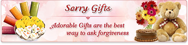 Sorry Gifts