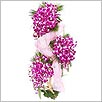 send online flowers