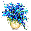 Orchids