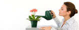Flower Care